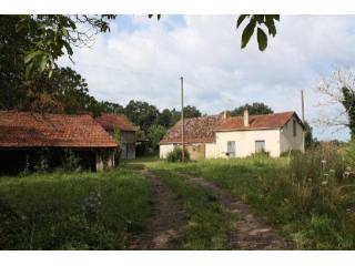 25184 - Vente - Maison - Vergt