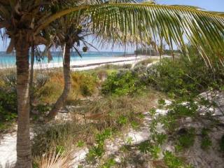 Singlefamilyvacant - Located on Banks..