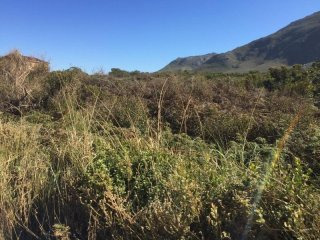 Bettys Bay Vacant Land, Bettys Bay