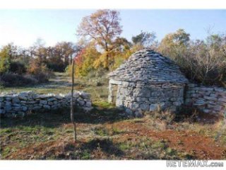 ISTRA,BALE: ZEMLJIŠTE S MASLINAMA I KAŽUNOM 10200 m2