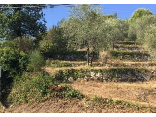 Sale Building land - Le Broc