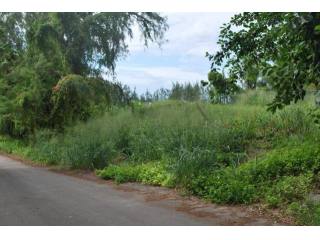 Property For Sale: Balls Plantation..