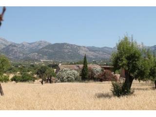 Building plot with views