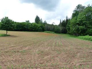 Vente Terrain Mazeyrolles