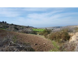 - Land - Paphos - For Sale