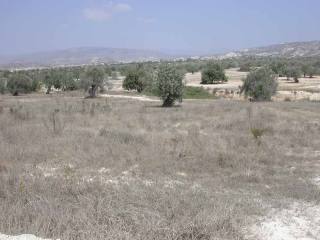 Limassol