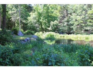 Land For Sale: Lower Trinity Pass Road..