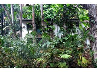 Urban Forest Lot With Duplex In Town Of..