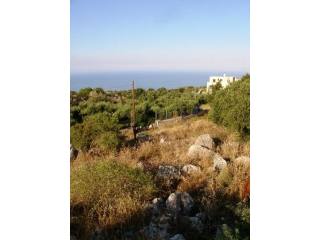 DCP-210 Plot in Kefalas MASSIVE..