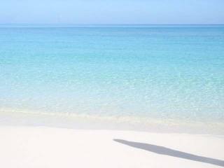 Singlefamilyvacant - This beautiful..