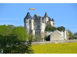 Castle For Sale: 86000 EN VIENNE