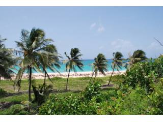 Property For Sale: Paragon Land, Christ..