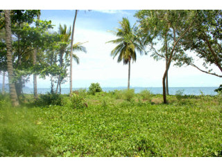 Long Beach - 10 Rai Sea Front Land in..