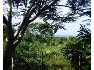 Lot For Sale On The North Coast Of The..
