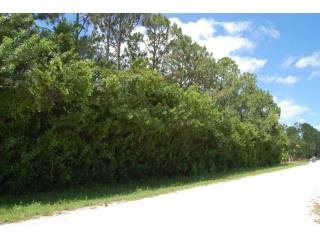 Land For Sale: Loxahatchee, Florida