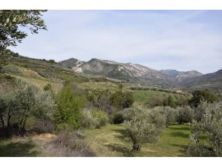 Building Plot Of 8417m2 Habitable Space..