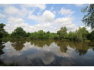 Lake (Approx 3000m2) On Large Plot