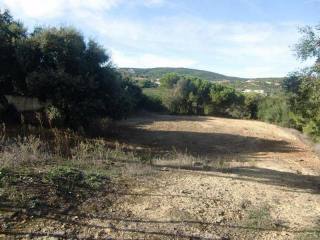 Plot For Sale: Sotogrande Alto..