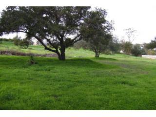 502 E Elder Fallbrook, California 92028..