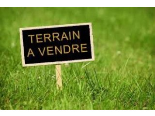 Terrain a menzel harb a vendre