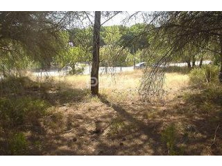 Land for Sale in Vila Sol