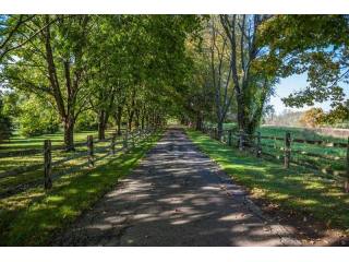 Land For Sale: 1 Griffin Ln