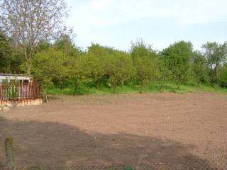 Land in Polkovnik Geshanovo, Dobrich