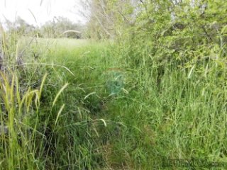 JURŠIĆI, poljoprivredno zemljište od 1441 m2