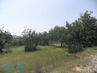 Residential Land in Lysos, Pafos