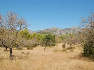 Magnificent plot with lovely mountain..
