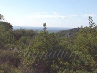 Plot For Sale: Santa Barbara de Nexe..
