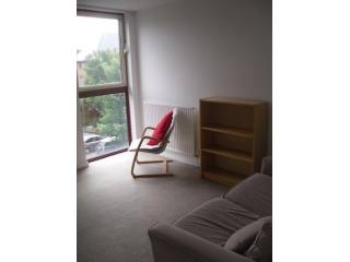 1 bed flat to rent