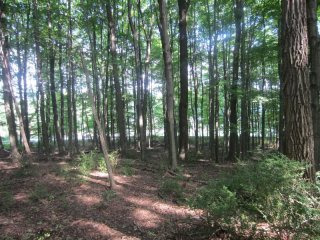 Land For Sale: 74 ROXITICUS RD
