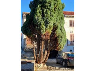 Apartmanska kuća na 10-tak km od Buzeta!