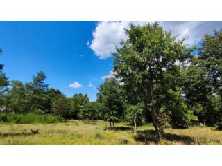 Istra, građevinsko i poljoprivredno zemljište 11142m2