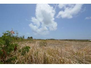 Property For Sale: Cluffs Lot 9, St...