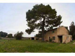 Son Servera, finca with house that must..