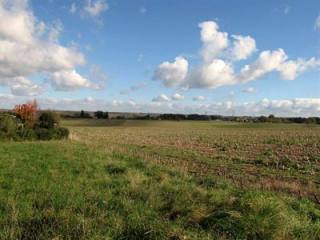 Site