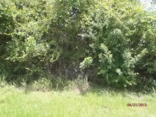 1692 Sw Mackey Av, Port Saint Lucie, FL..