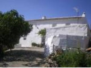 Country House, Jaen, Mures, Baby Bird