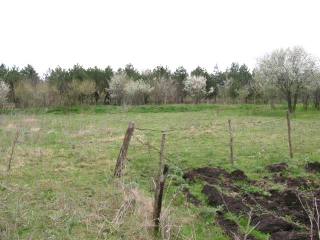 Land in Vasilevo, Kavarna