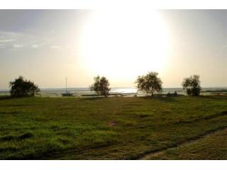 3 bedroom House For Sale: 33138 LANTON