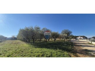 Istra, Poreč - okolica, građevinsko zemljište za izgradnju k