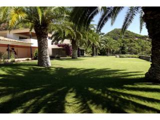Property with 17.000m2 of land just 200..