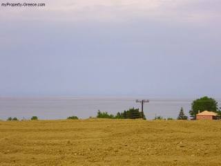 Land in Alikanas