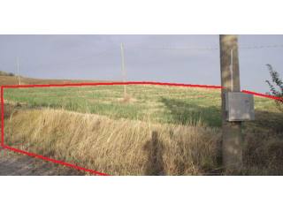 Small land for sale in Italy Molise..