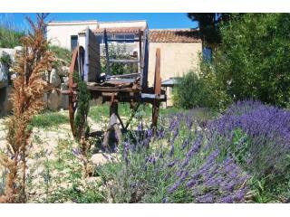 Farm House In Idyllic Location With..