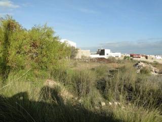 Plot in San Isidro de Abona