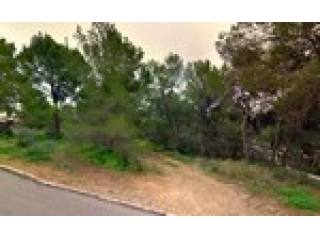 - Land - For Sale