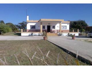 Finca Farm - Good size country house..